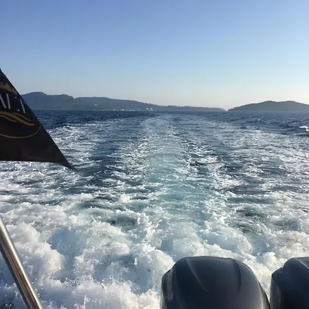 فيلة Diklic Čilipi